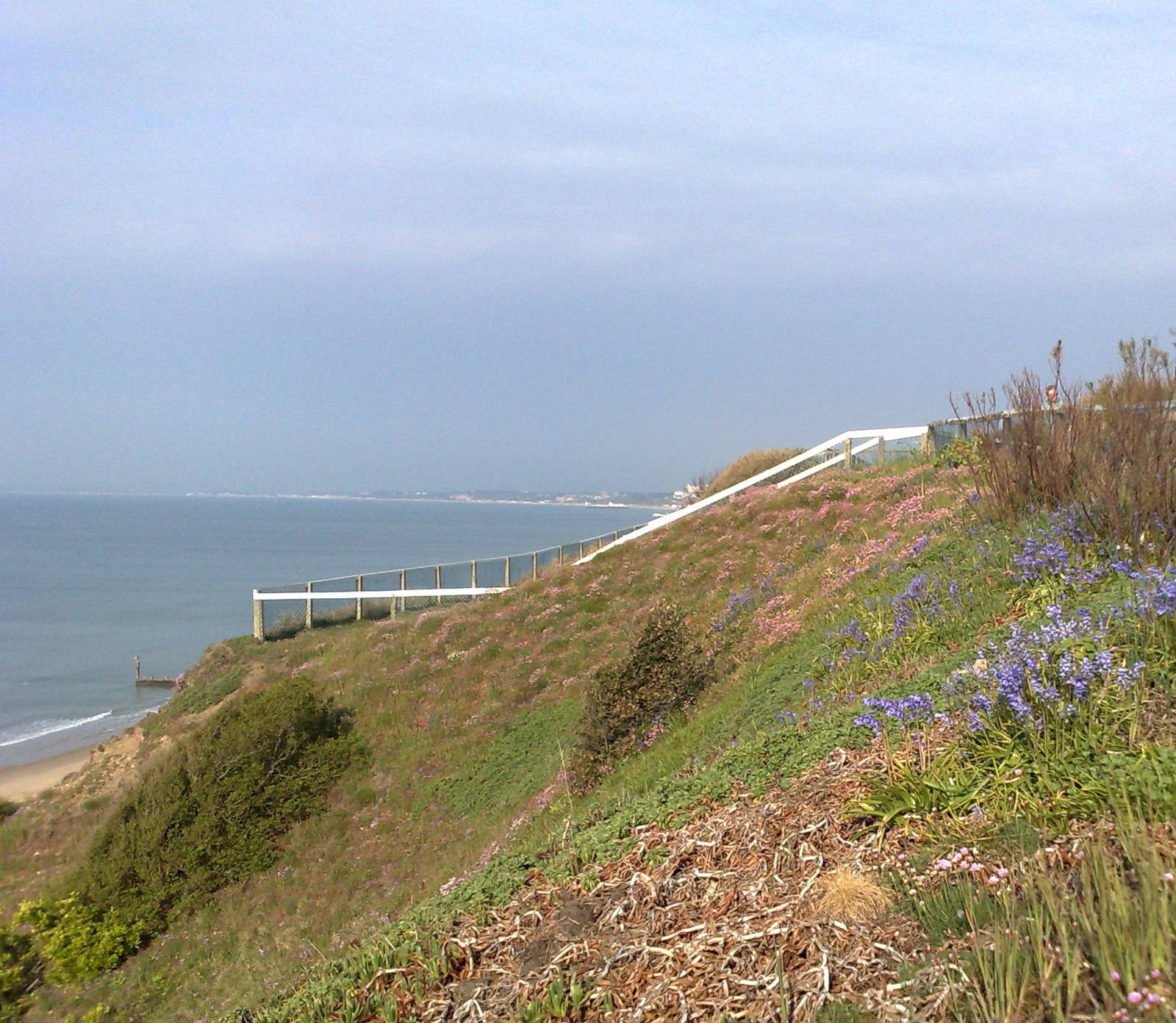 The flower-covered clifftop above Southbourne beach